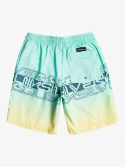 Quiksilver Everyday Wordblock 16" - Short De Bain Pour Garçon 8-16 Ans -Quiksilver eqbjv03434 quiksilverf gcz6 bck1