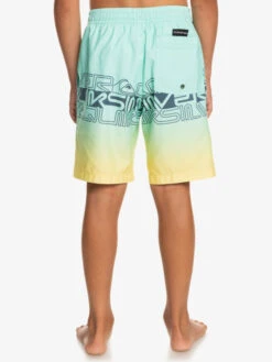 Quiksilver Everyday Wordblock 16" - Short De Bain Pour Garçon 8-16 Ans -Quiksilver eqbjv03434 quiksilverw gcz6 bck1