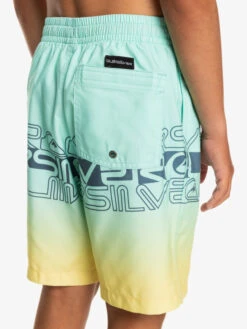 Quiksilver Everyday Wordblock 16" - Short De Bain Pour Garçon 8-16 Ans -Quiksilver eqbjv03434 quiksilverw gcz6 bck2