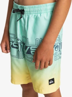 Quiksilver Everyday Wordblock 16" - Short De Bain Pour Garçon 8-16 Ans -Quiksilver eqbjv03434 quiksilverw gcz6 frt3