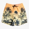 Quiksilver Everyday Paradise 14" - Short De Bain Pour Garçon 8-16 Ans