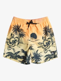 Quiksilver Everyday Paradise 14" - Short De Bain Pour Garçon 8-16 Ans