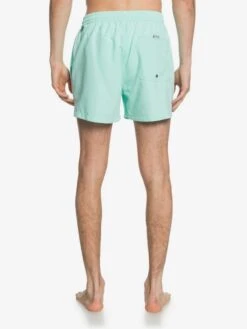 Quiksilver Everyday 15" - Short De Bain Pour Homme -Quiksilver eqyjv03531 everydayvolley15w gcz0 bck1