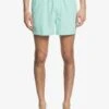 Quiksilver Everyday 15" - Short De Bain Pour Homme