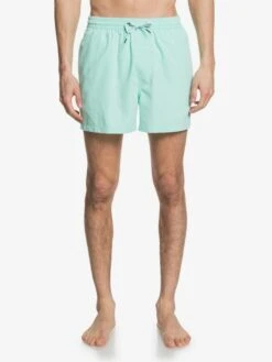 Quiksilver Everyday 15" - Short De Bain Pour Homme