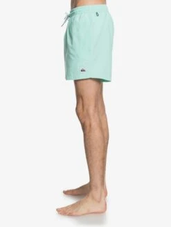 Quiksilver Everyday 15" - Short De Bain Pour Homme -Quiksilver eqyjv03531 everydayvolley15w gcz0 frt2
