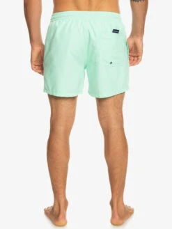 Quiksilver Everyday 15" - Short De Bain Pour Homme -Quiksilver eqyjv03531 quiksilverw gcz0 bck1