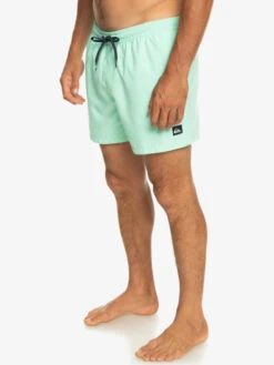 Quiksilver Everyday 15" - Short De Bain Pour Homme -Quiksilver eqyjv03531 quiksilverw gcz0 frt2