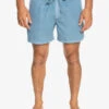 Quiksilver Everyday Surfwash 15" - Short De Bain Pour Homme