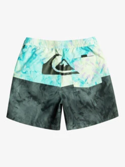 Quiksilver Butt Logo 17" - Short De Bain Pour Homme -Quiksilver eqyjv03994 quiksilverf kvj6 bck1