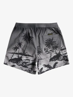 Quiksilver Everyday Paradise 15" - Short De Bain Pour Homme -Quiksilver eqyjv03999 quiksilverf kvj6 bck1