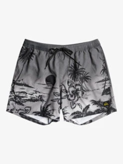 Quiksilver Everyday Paradise 15" - Short De Bain Pour Homme -Quiksilver eqyjv03999 quiksilverf kvj6 frt1