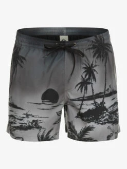 Quiksilver Everyday Paradise 15" - Short De Bain Pour Homme -Quiksilver eqyjv03999 quiksilverv kvj6 frt1