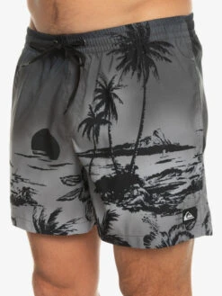 Quiksilver Everyday Paradise 15" - Short De Bain Pour Homme -Quiksilver eqyjv03999 quiksilverw kvj6 frt3