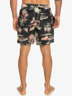 Quiksilver Everyday Mix 17" - Short De Bain Pour Homme -Quiksilver eqyjv04002 quiksilverw kvj6 bck1