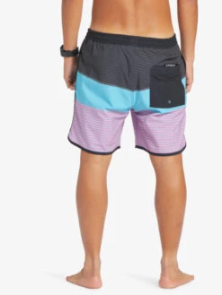 Quiksilver Surfsilk Tijuana 17" - Short De Bain Pour Homme -Quiksilver eqyjv04013 quiksilverw kvj7 bck1