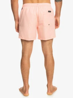Quiksilver Everyday Deluxe 15" - Short De Bain Pour Homme -Quiksilver eqyjv04019 quiksilverw mhv0 bck1